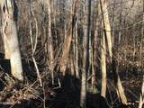 Lot 68 Yellowwood Drive - Photo 4