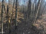 Lot 68 Yellowwood Drive - Photo 6
