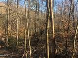 Lot 68 Yellowwood Drive - Photo 9
