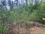 376 Summer House Hollow Road - Photo 11