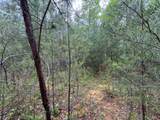 376 Summer House Hollow Road - Photo 13