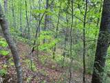 376 Summer House Hollow Road - Photo 15