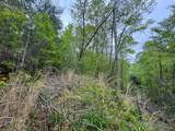 376 Summer House Hollow Road - Photo 3