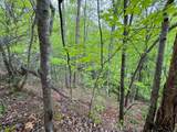 376 Summer House Hollow Road - Photo 6