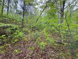 376 Summer House Hollow Road - Photo 9