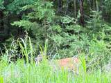 Lot 17 Waterstone Drive - Photo 18