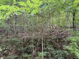5 Lots Fortunato Drive - Photo 13