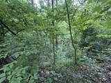 5 Lots Fortunato Drive - Photo 9