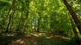 811 Harrison Ferry Rd - Photo 11
