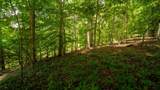 811 Harrison Ferry Rd - Photo 14