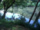 3388 Horton Ford Road - Photo 1