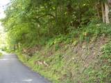 3388 Horton Ford Road - Photo 2