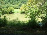 3388 Horton Ford Road - Photo 4