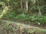 3388 Horton Ford Road - Photo 7