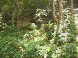 3388 Horton Ford Road - Photo 8