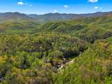 248 Buckhorn Road - Photo 137