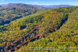 5.37 Acres Reece Hollow Road - Photo 1
