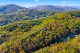 5.37 Acres Reece Hollow Road - Photo 10
