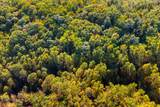 5.37 Acres Reece Hollow Road - Photo 12