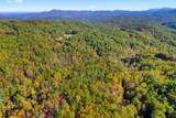 5.37 Acres Reece Hollow Road - Photo 13