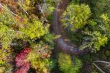 5.37 Acres Reece Hollow Road - Photo 6