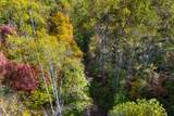 5.37 Acres Reece Hollow Road - Photo 7