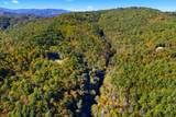 5.37 Acres Reece Hollow Road - Photo 8