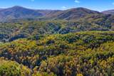 5.37 Acres Reece Hollow Road - Photo 9