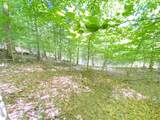 Lot 12 Cove Springs Drive - Photo 17