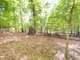 Lot 12 Cove Springs Drive - Photo 20