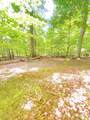 Lot 12 Cove Springs Drive - Photo 25