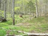 2812 Rebel Hollow Road - Photo 10