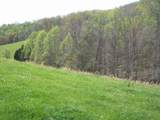 2812 Rebel Hollow Road - Photo 6