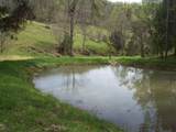 2812 Rebel Hollow Road - Photo 7