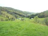 2812 Rebel Hollow Road - Photo 8