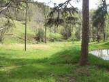 2812 Rebel Hollow Road - Photo 9