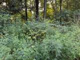 3.97 acres Bridge Chapel Road - Photo 3