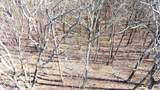 8 & 10 Video Way - Photo 13