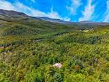 4320 Firefly View Way - Photo 74