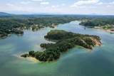 0 Douglas Lake Is - Photo 10