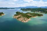 0 Douglas Lake Is - Photo 5