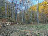 Tract 7 Topaz Way - Photo 3
