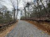 3.93 acres Green Forest Road - Photo 11