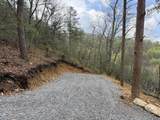 3.93 acres Green Forest Road - Photo 12