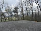 3.93 acres Green Forest Road - Photo 2