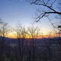 3.93 acres Green Forest Road - Photo 22