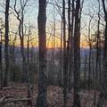 3.93 acres Green Forest Road - Photo 23