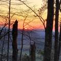 3.93 acres Green Forest Road - Photo 24