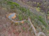 3.93 acres Green Forest Road - Photo 6