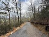 3.93 acres Green Forest Road - Photo 9